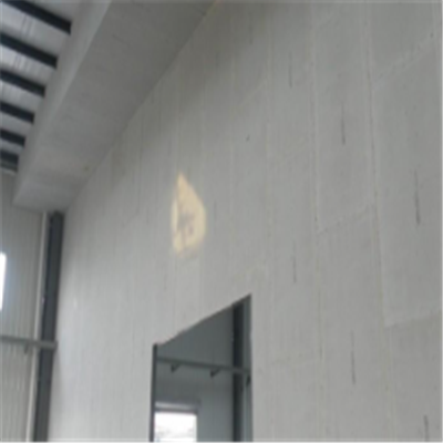 五寨新型建筑材料掺多种工业废渣的ALC|ACC|FPS模块板材轻质隔墙板